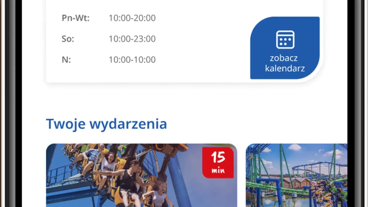 Theme Park Mobile Experience